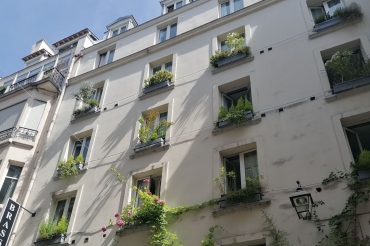 Végétalisation de la façade de l'Hôtel Mont Blanc 