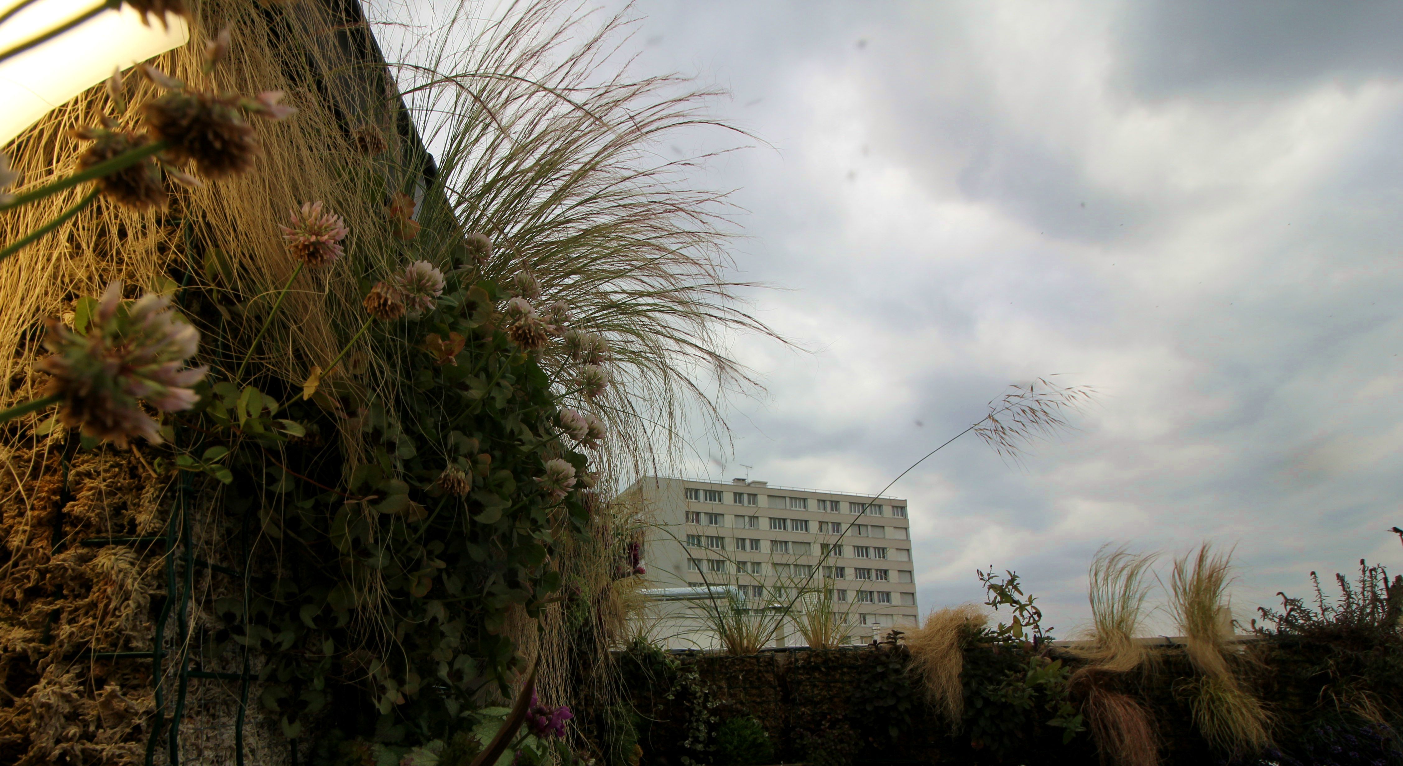 Jardinier vertical - Details