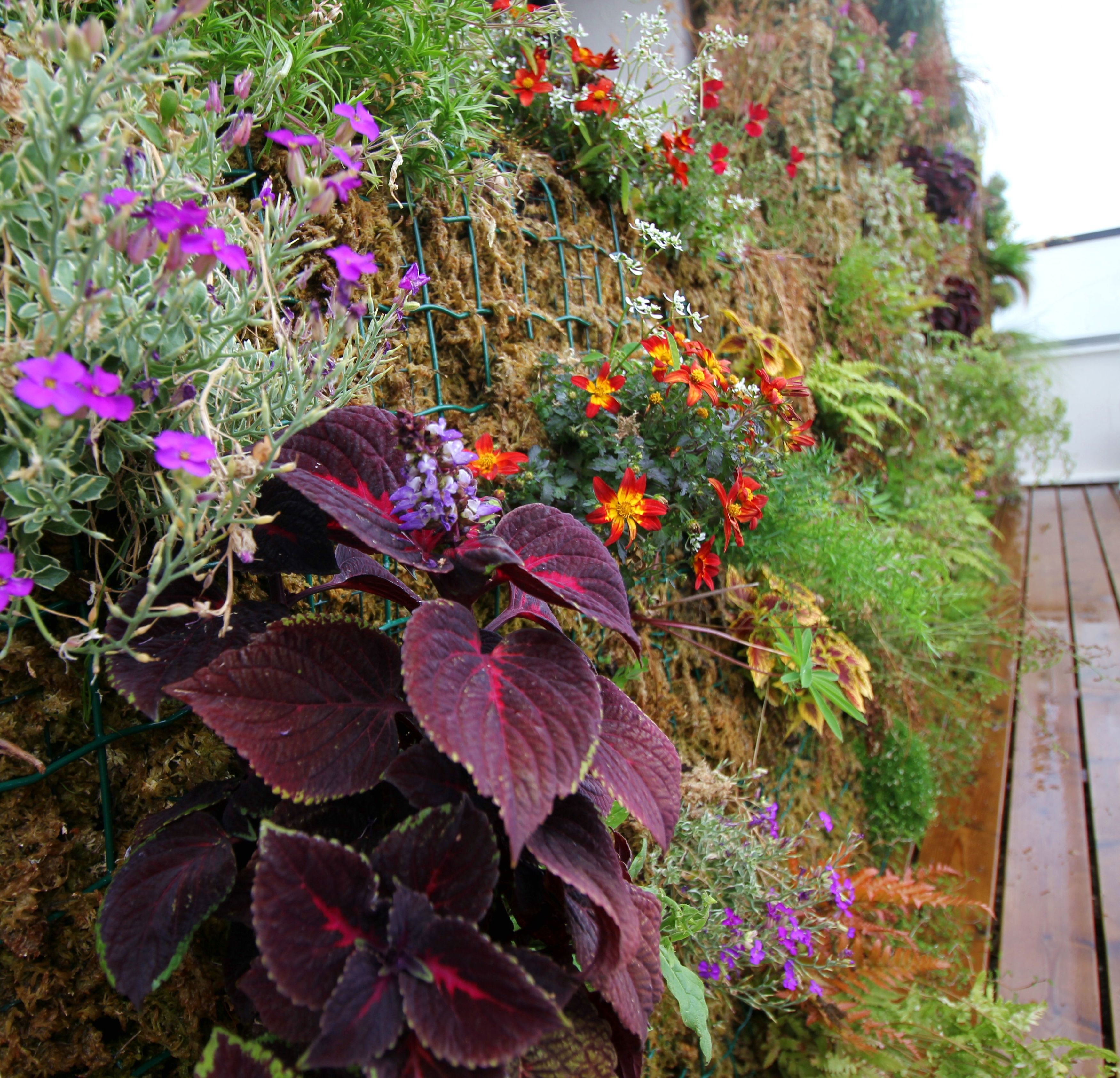 Jardinier vertical - Details