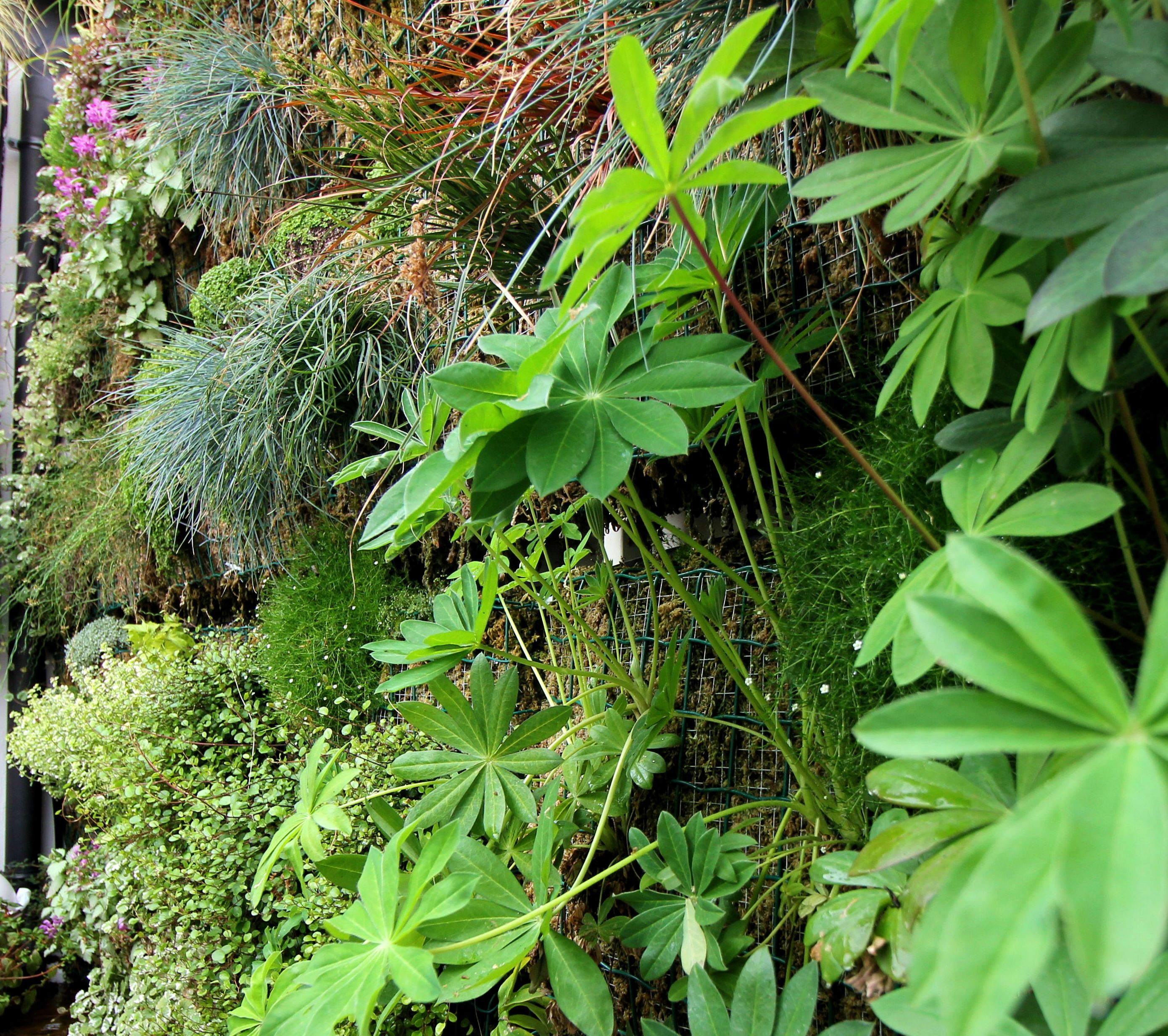 Jardinier vertical - Details